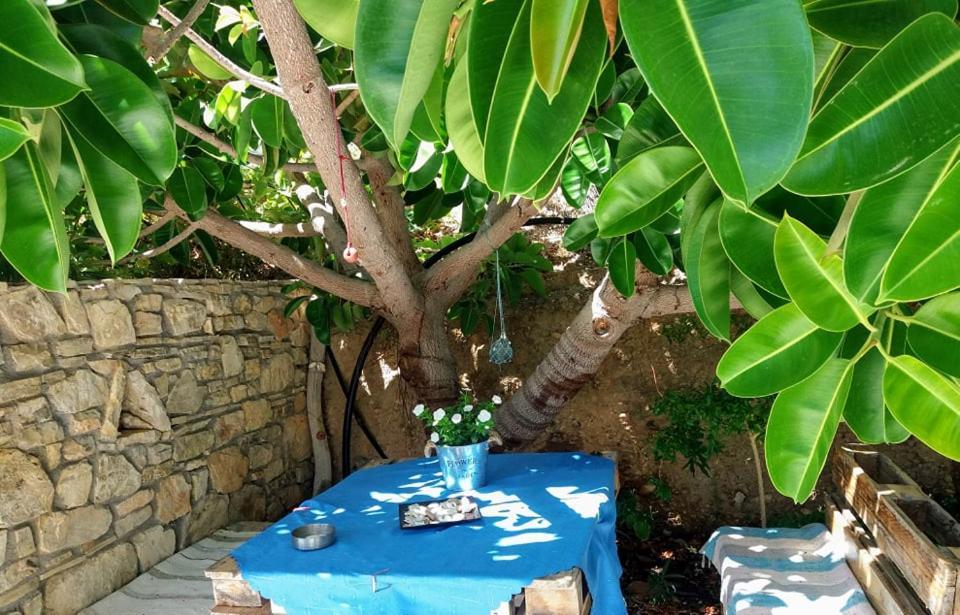 Sun Day Villa Achlia Exterior foto